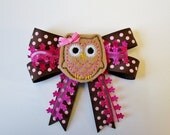 Pink and Brown Embroidered Felt Owl Ribbon Hair Bow