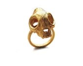 SALE -- Gold Plated Cat Skull Ring, animal skull ring, gold ring, animal skull, animal head ring, modern ring, goth ring, cats rule yeah ba