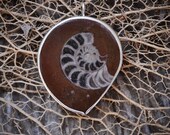 Ammonite Fossil Pendant Sterling Silver Bezel Set