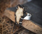 Fossilized Mammoth Tusk Cocktail Ring in a Sterling Silver Prong setting