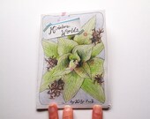 Miniature Worlds Mini Zine