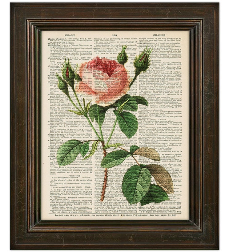 Pink Rose Print Floral vintage dictionary art print - vintage book page print on dictionary page - botanical wall art - 8 x 10