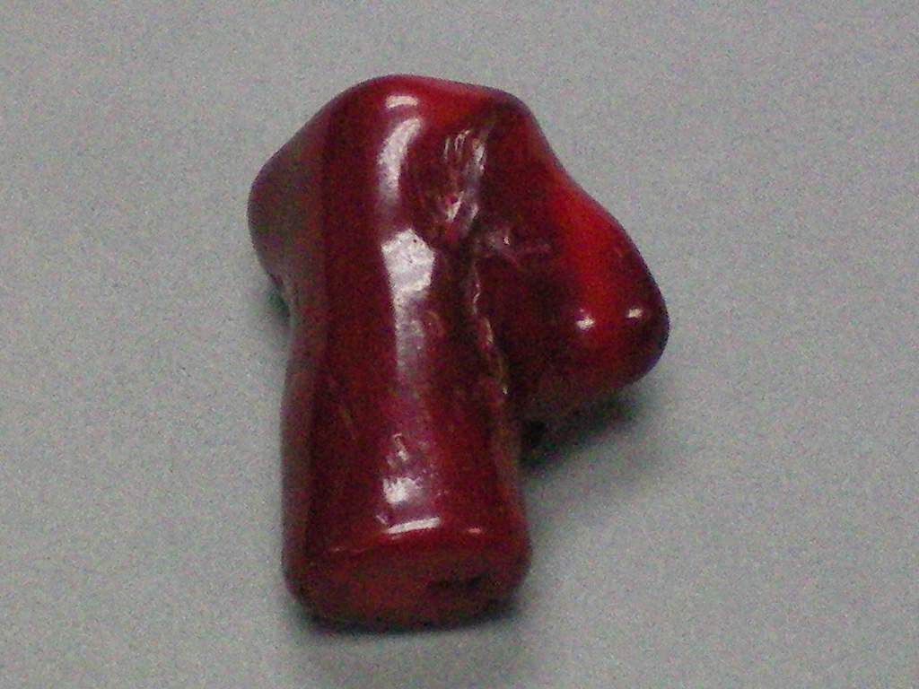 Deep Red Coral