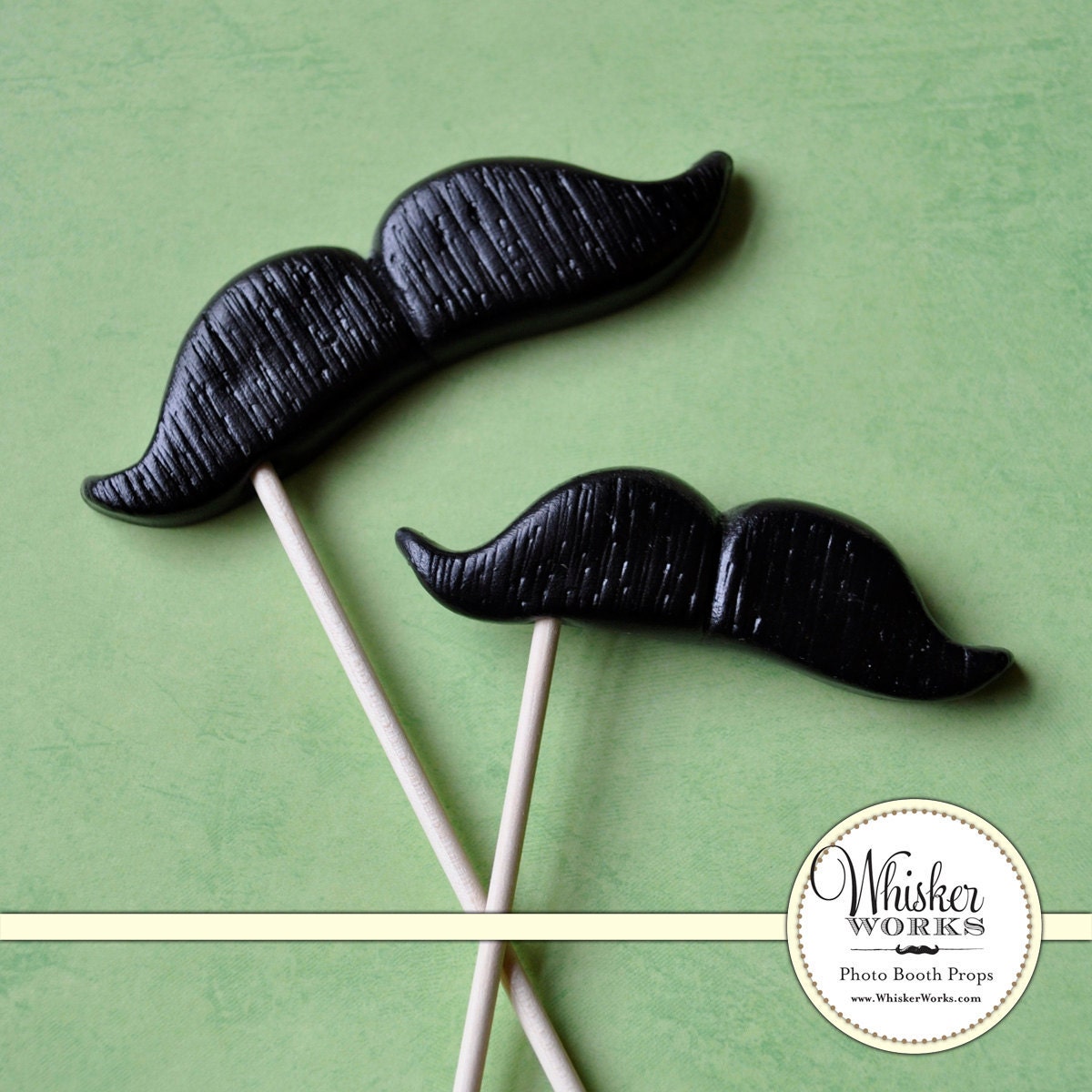 Mustaches on Sticks - The Hairy Pair - Set of 2