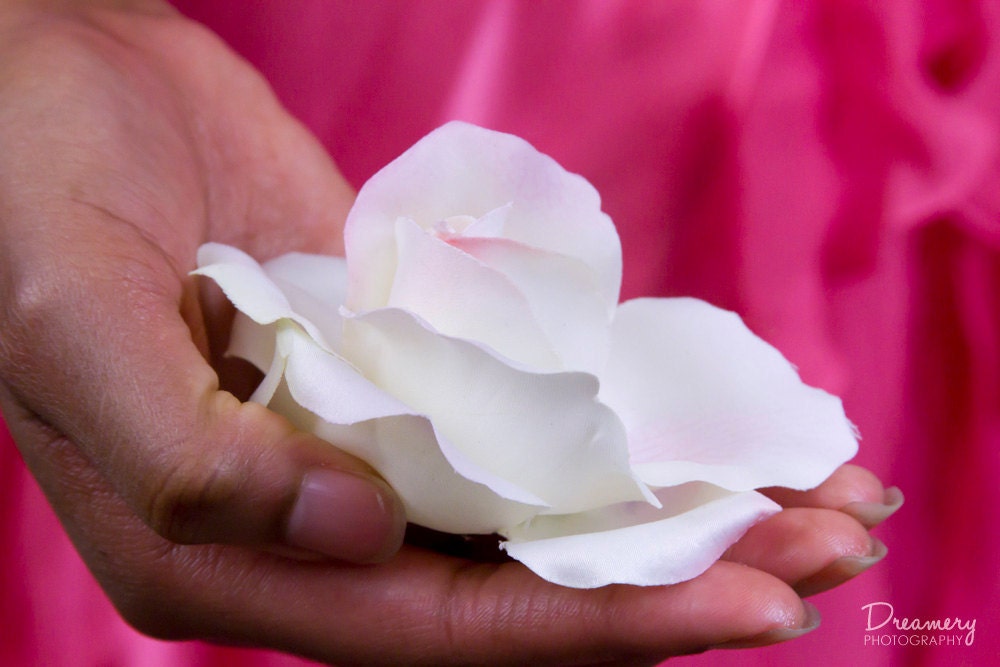 Soft Coral Rose Hair Clip
