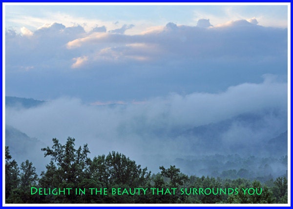 Delight in Beauty Photo Greeting/Note Card
