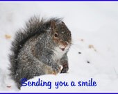 Sending you a Smile Photo Greeting/Note Card