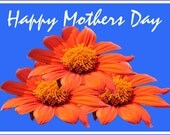 Happy Mothers Day 02 Photo Greeting/Note Card