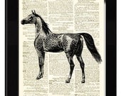 Arabian Horse Dictionary Print Made From Antique Ex Libris and Antique Dictionary Page