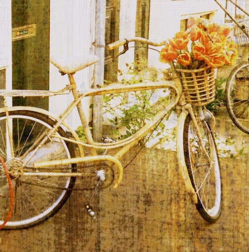 Bicycle, Bicycle in Amsterdam, The Netherlands - CANVAS Wall Art, 8x8" Wrap Canvas Fine Art Print, Bike Rental with Orange Tulips in Holland