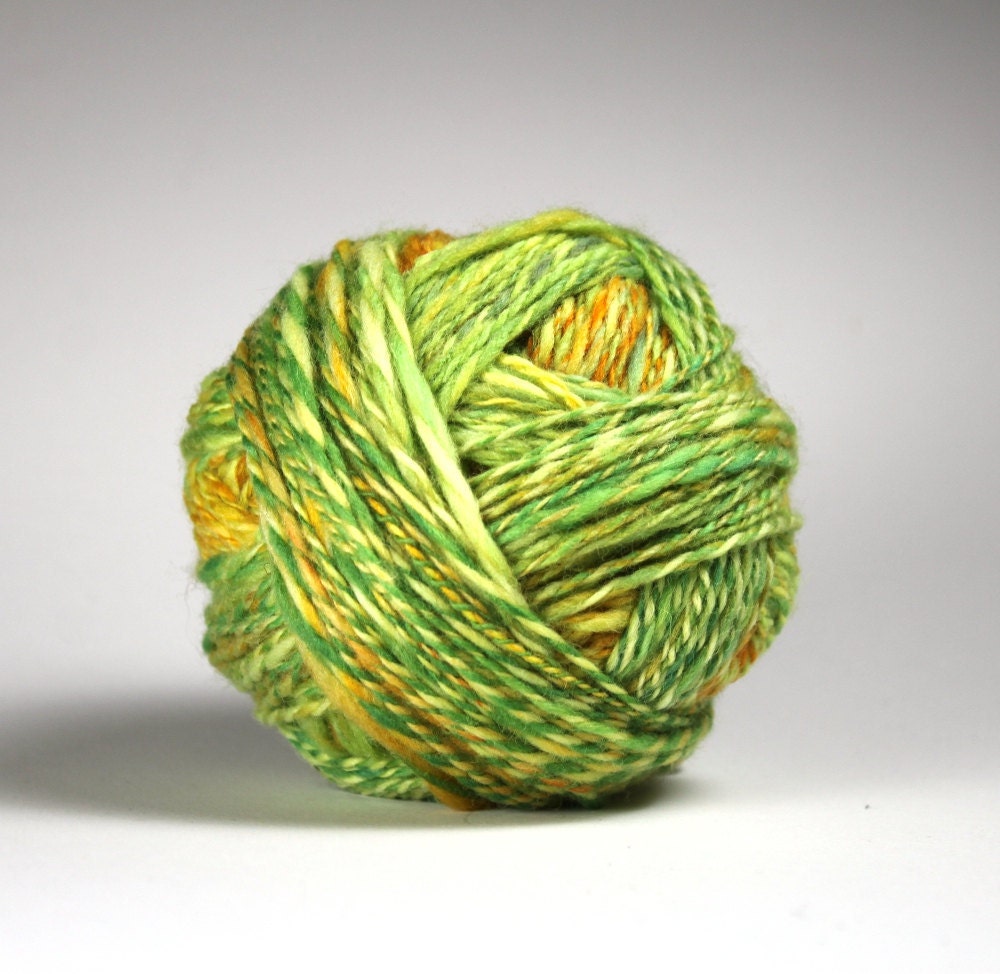 fruit Fusion - Hand Dyed Handspun Merino Yarn
