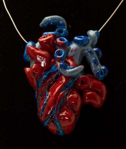 Octo-heart