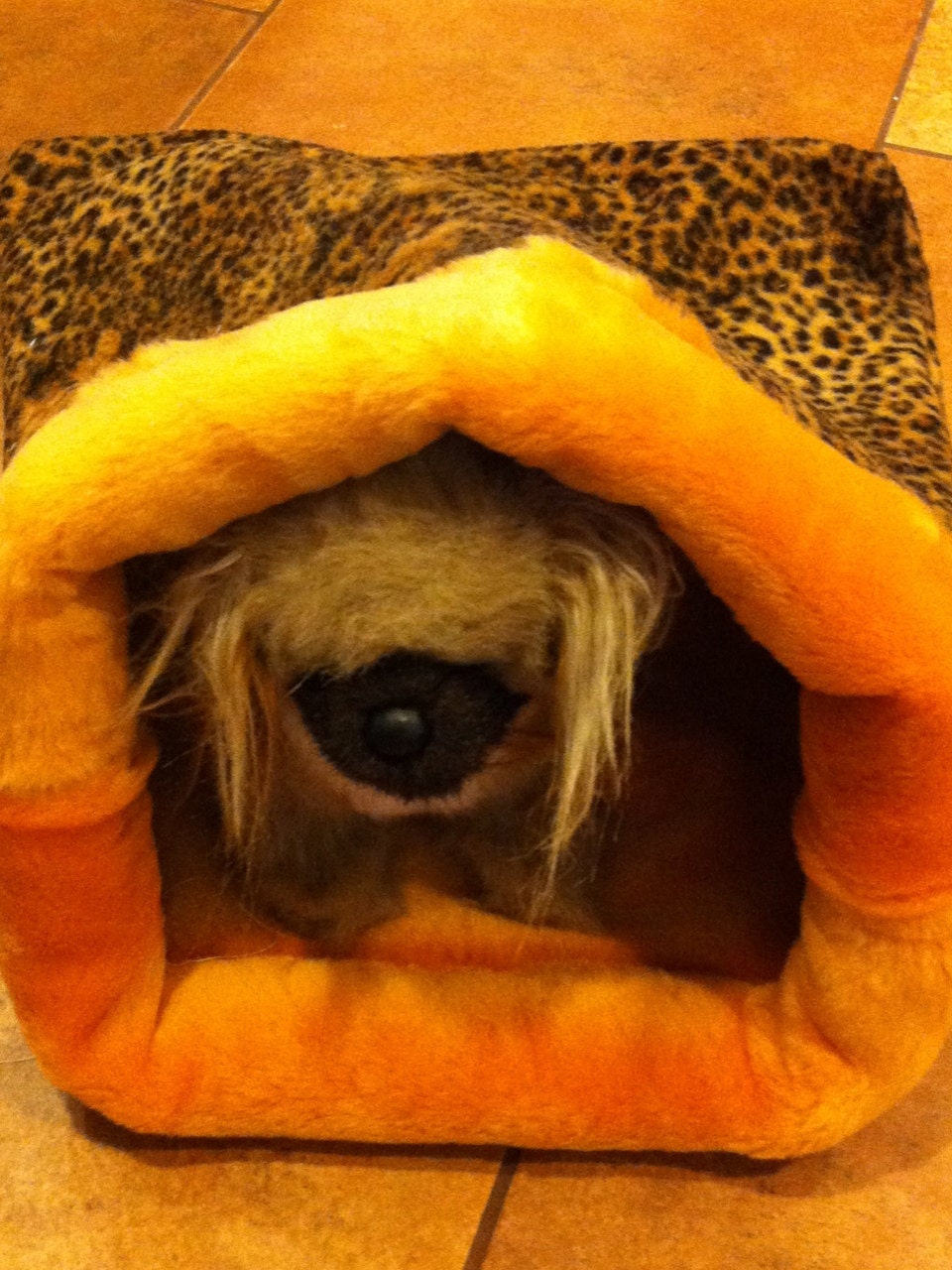 SNUGGLE-SACK Pet bed 16" X 18" Faux Fur PLUSH