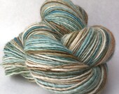 Robin's Egg - DK weight handspun yarn
