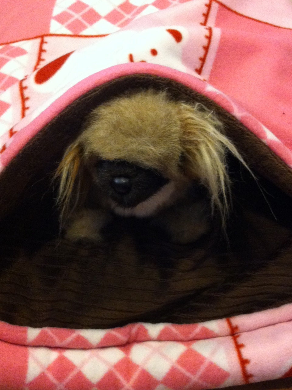 Pet Snuggle sack Pillow Bed 23"x28"  Faux Fur & anti pill Fleece