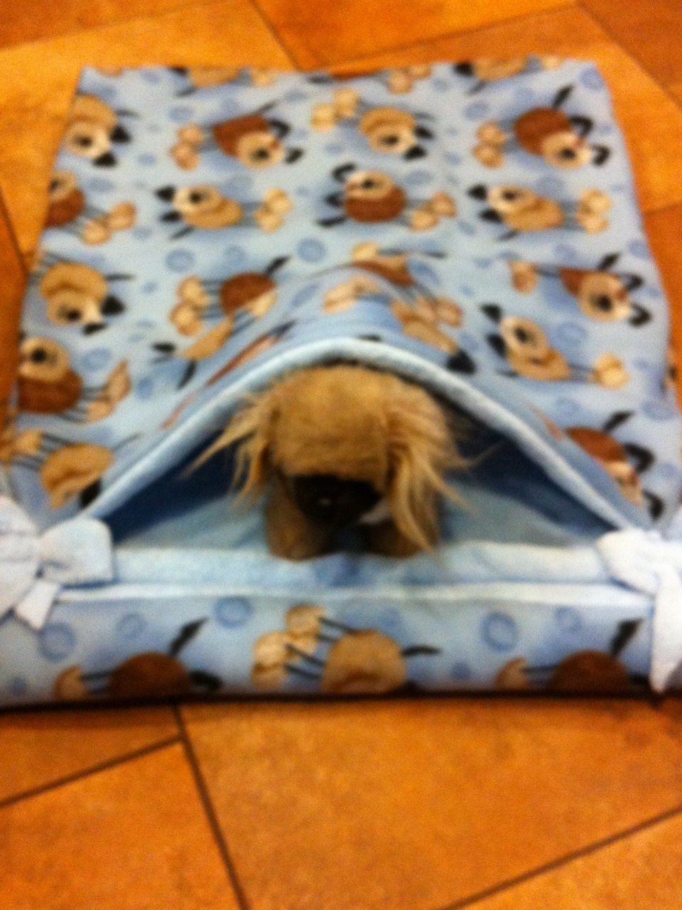 Pet Snuggle sack Pillow Bed 23"x28"  Furry Fleece & anti pill Fleece