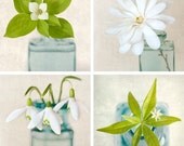 5x5 Print Set - Spring Green and White - Flower Photography - Spring Flower Photos - Spring Decor - Botanical Prints - Floral Photography