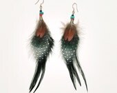 orly feathers