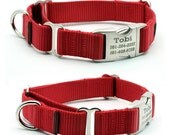 Personalized Buckle Martingale Collar and Leash Set