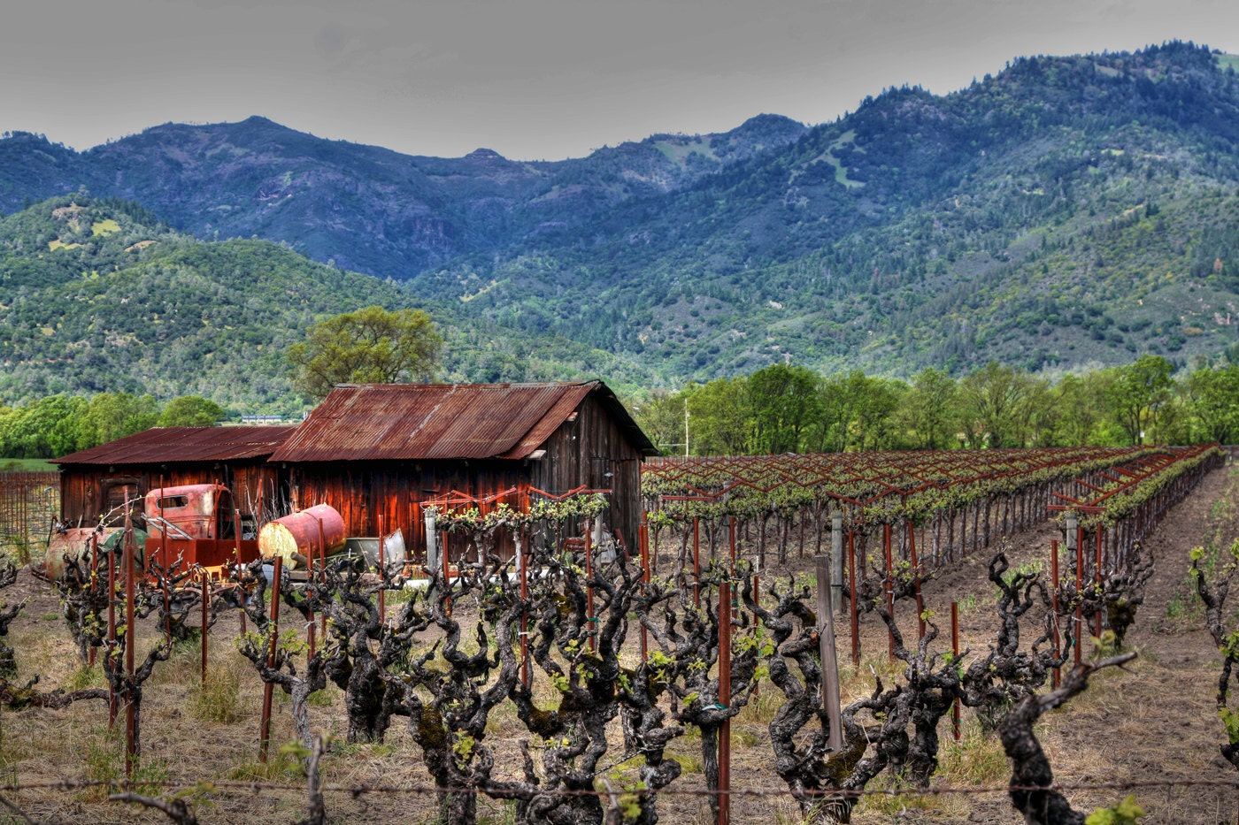 An old farm building in the Napa Valley Wine Country outside San Francisco, CA - 11x14 Fine Art Print