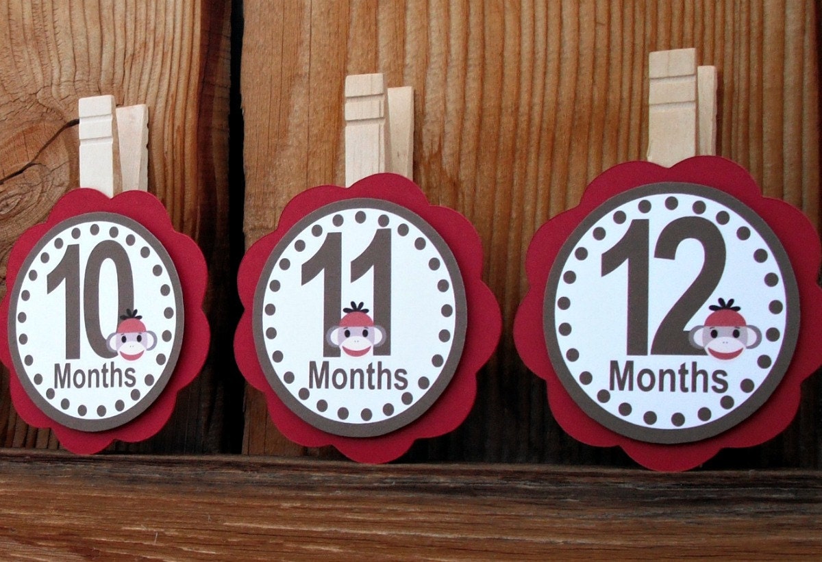 Sock Monkey First Year Photo Clips