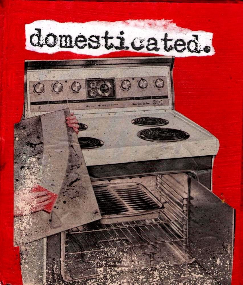 doMESSticated.