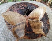 Hand Carved Butterfly,in Oak Burl, mounted on a Cherry Knot