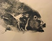 Terrific Tautog Original Fish Rubbing (GYOTAKU)