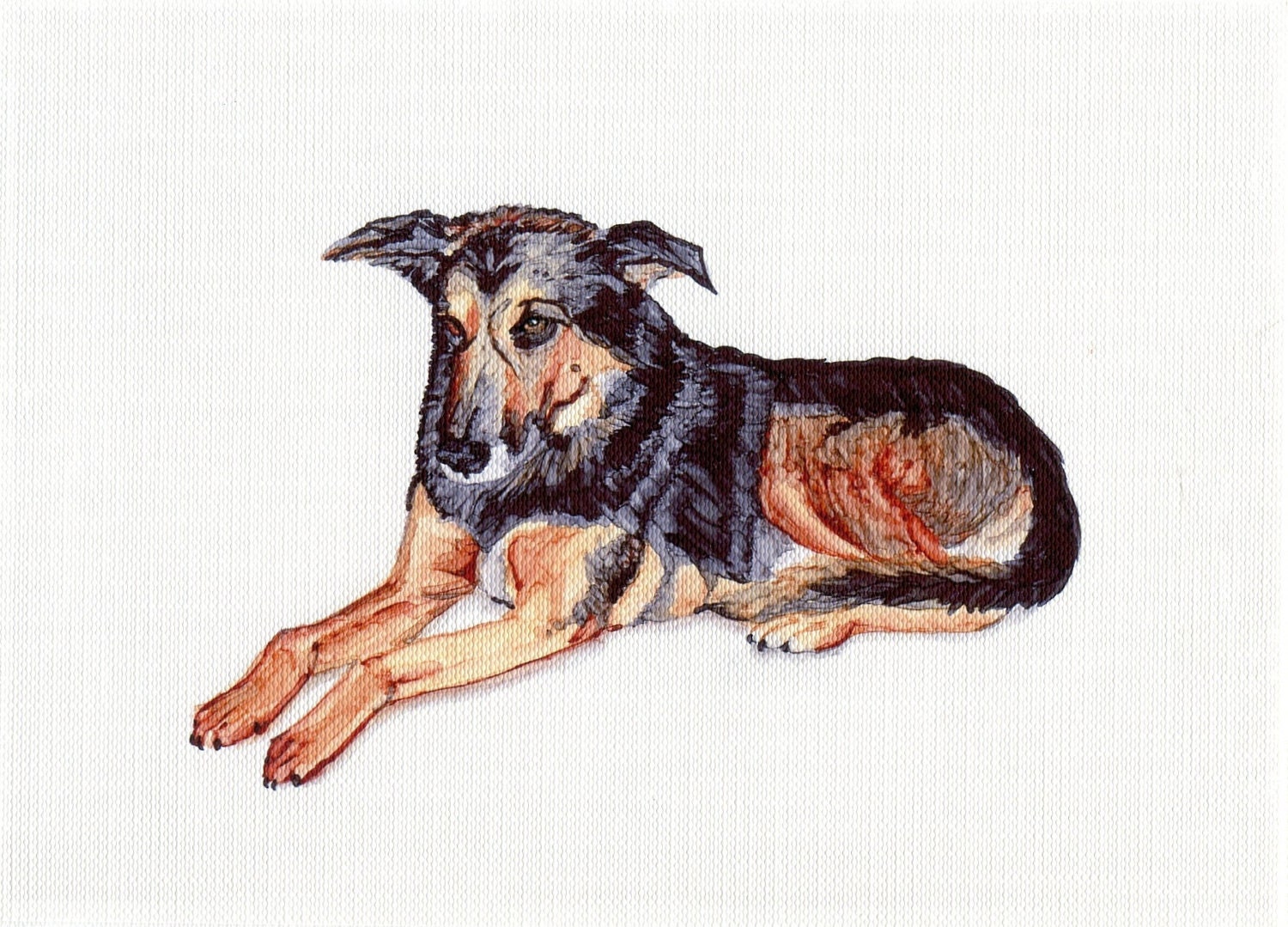 German Shepherd Custom Pet Portrait Example 1, Dog or Cat, 8.5x11 Art Print or 4 - 5x7 Cards