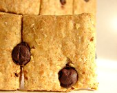 Dog Biscuit Squares-Peanut Butter & Carob Chip-Perforated for Convenience-18 Squares