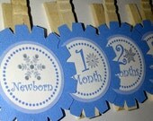 The ORIGINAL First Year Photo Clips- Great for Birthday Parties and More- Blue Snowflake- READY to SHIP Il_170x135