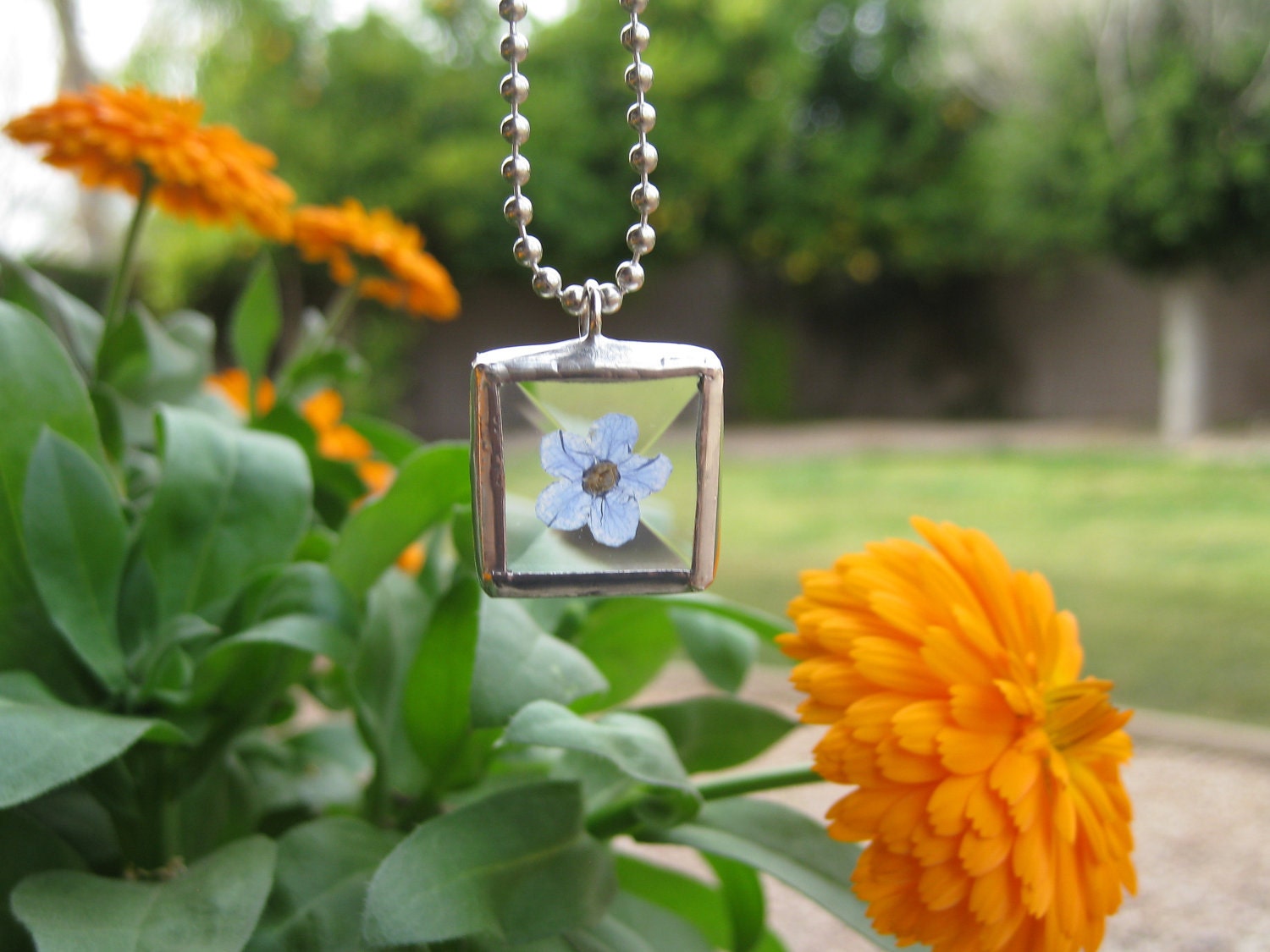 Beveled Glass Pendant with a Real Forget Me Not Flower