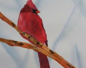 Painting of Red Cardinal-Original Watercolor-Perched