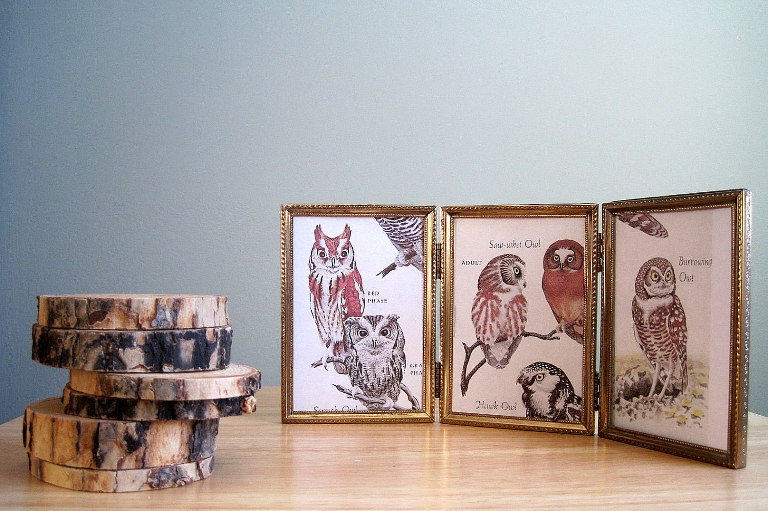 SALE Vintage Owl Prints in Trifold Picture Frame 3 x 5 with