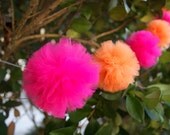 Orange and Pink Mini-Pom Garland Il_170x135