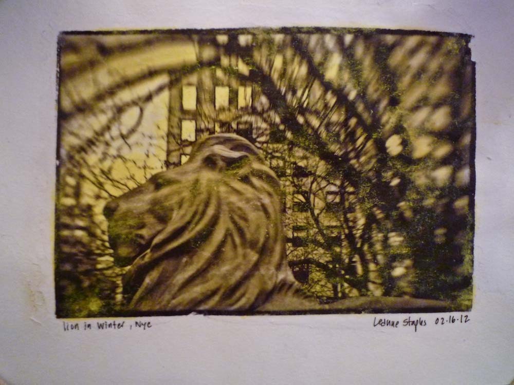 lion in winter - photo transfer
