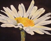 Flying Solo Again-Original Watercolor of Daisy