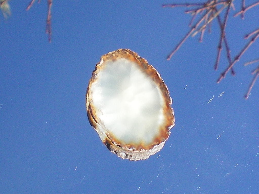 Translucent Small Agate