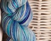 Max A Doodle superwash merino worsted weight yarn blue mix