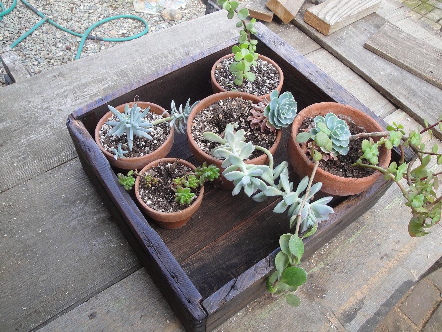 Handmade Reclaimed Fruit Box Plant Display Box