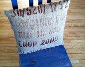 An organic kind of pillow, from repurposed coffee sack