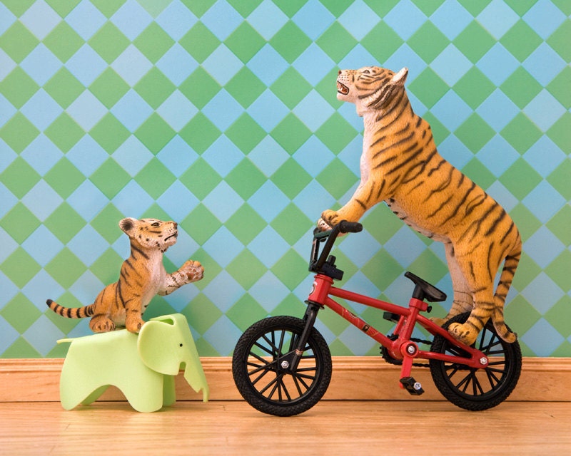 tiger print, bmx bicycle, orange and teal, eames elephant - Tiger Styling 8 x 10