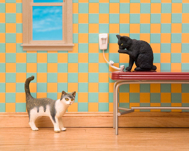 cats, black cat, checkered pattern, retro 1950s vintage kitchen - Cat Calls 8 x 10