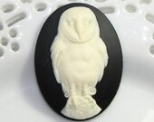 Snowy Owl Cameo - 40x30mm Resin -  2 pcs - Light Ivory on Black