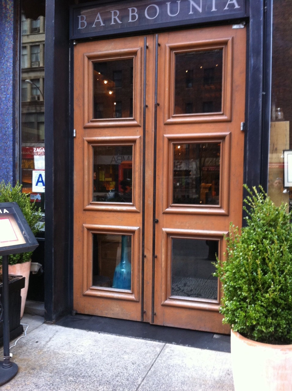 Reclaimed Door