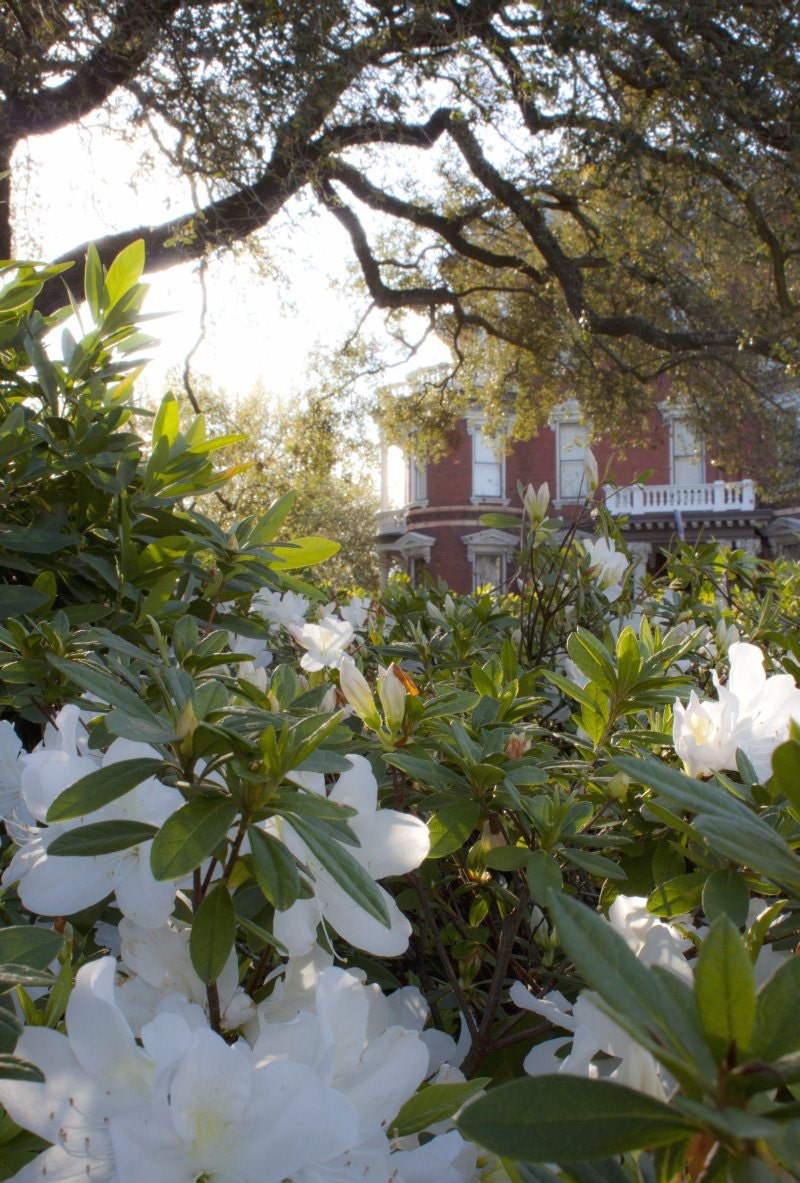 Sundown at the Kehoe House - An original photograph by Melissa Schneider