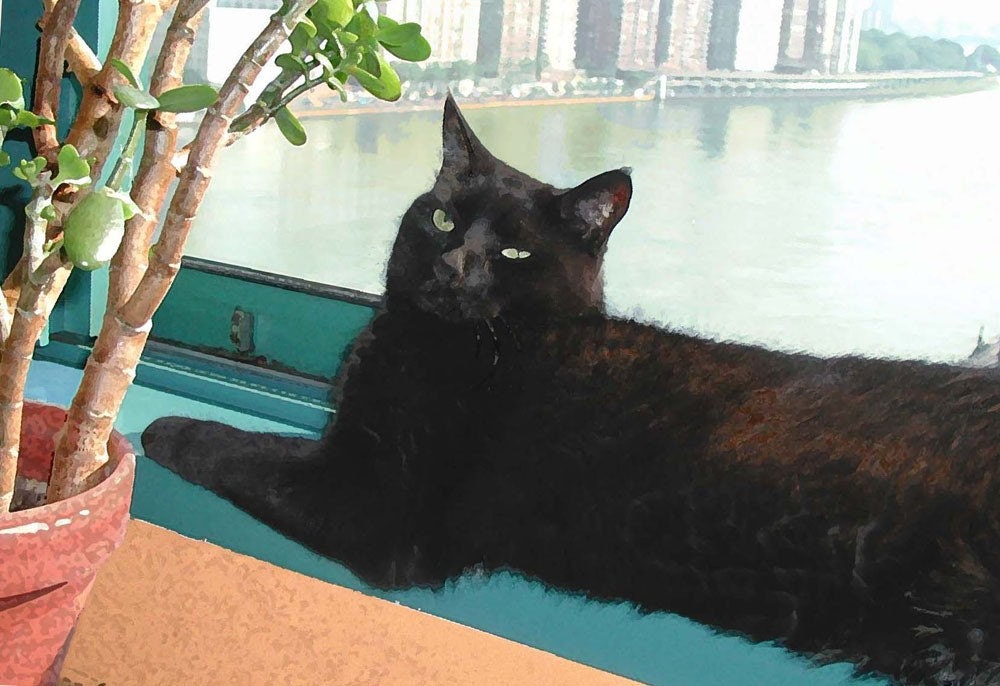Black Cat Card -Set of 5 Beautiful Cat Cards-- Black Cat Art