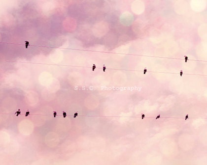 Birds on Wire. Dreamy Photo. "Birds and Bokeh" 8x10inch Photo. Girly. Pink. Purple. Bokeh. Birds. Nursery Art. Whimsical. Sweet. Spring