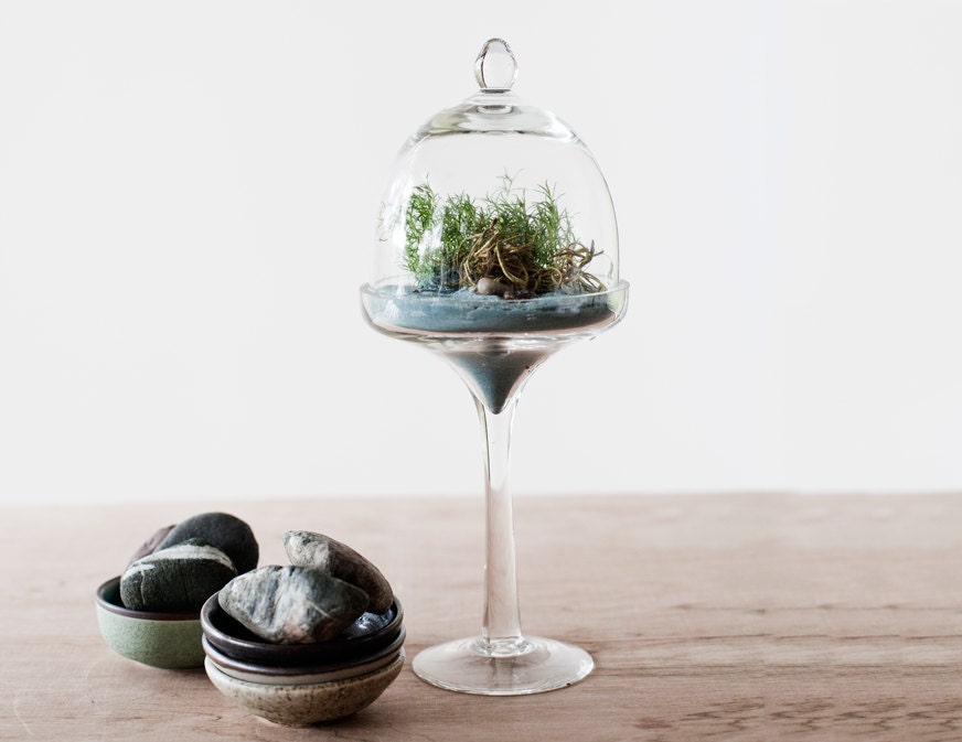Native flora bell jar terrarium