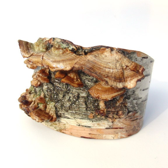 Large width birch bark cuff bracelet, Mushroom Colony II